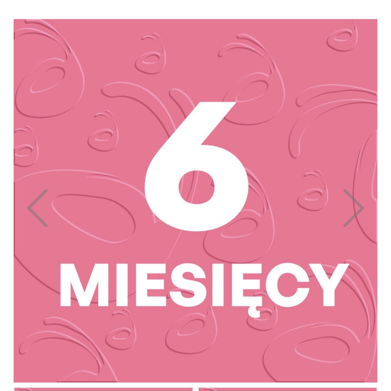 6 miesięcy